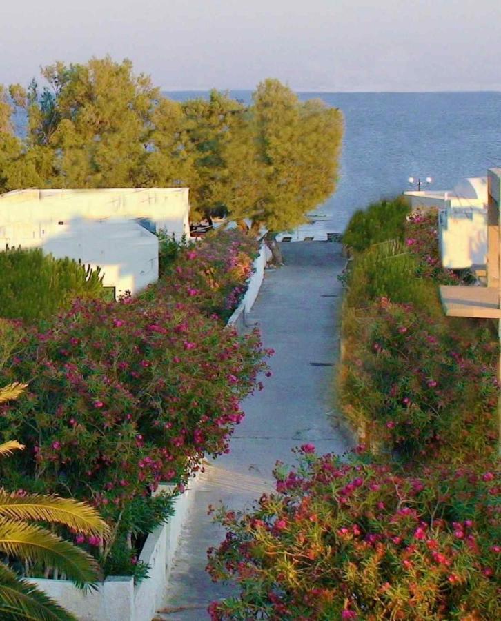 Located By The Sea One Beachfront Private Captain Lazaros Pool Villa With Loft In 750Sqm Spacious Private Plot-Jacuzzi-Sunrelax-Furnished Terace-Gazebo-Private Parking,Sleep 3 Adults And 2 Children, Just Steps From The Black Beach-Seaview Perissa  Buitenkant foto